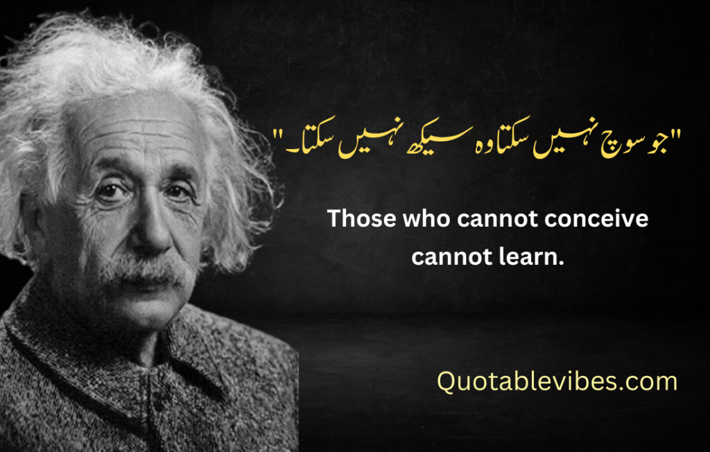 Albert Einstein Quotes