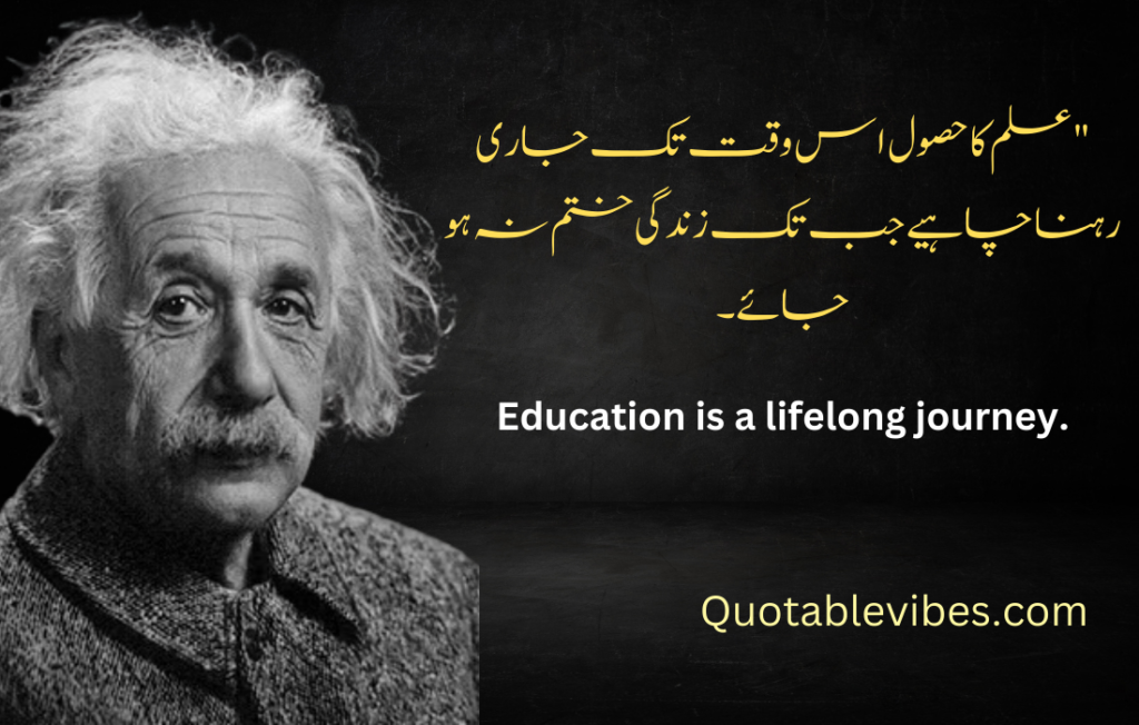 Albert Einstein Quotes