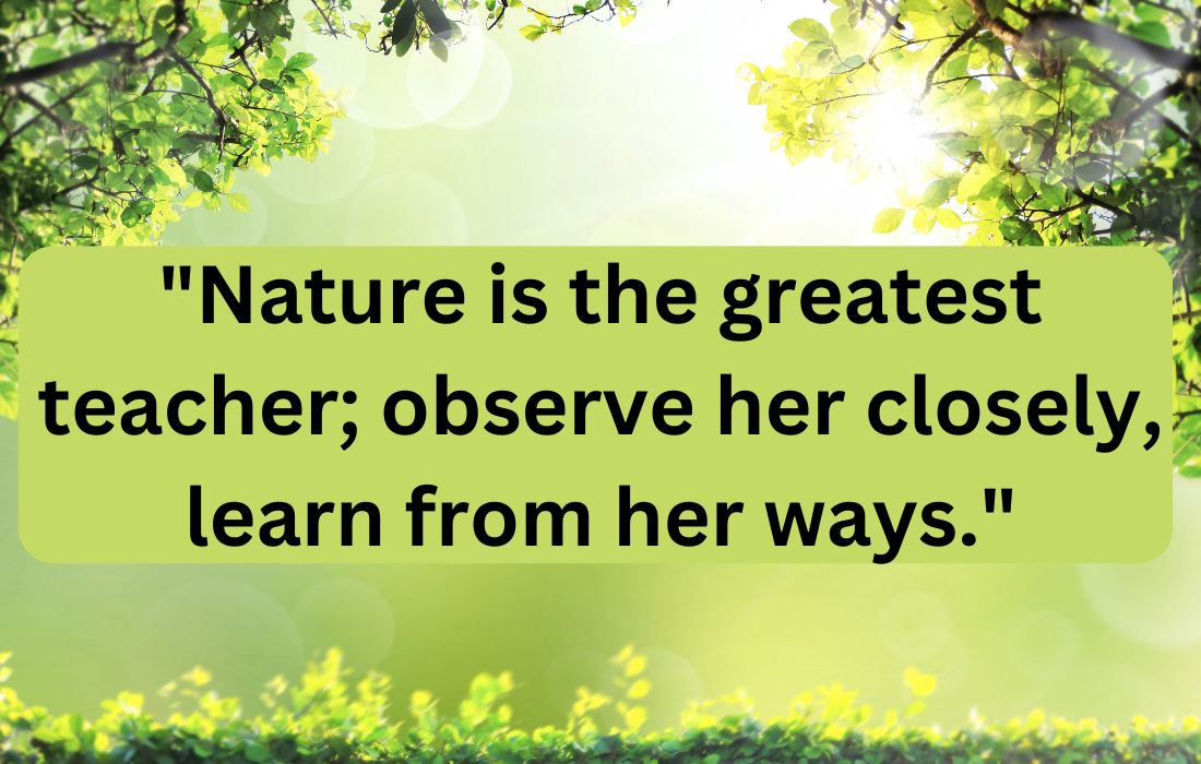 Inspiring Quotes About Nature