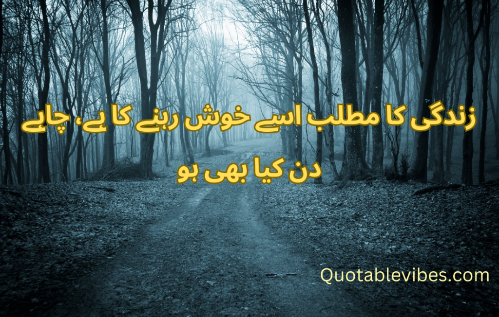 20 Best Urdu Quotes About Life