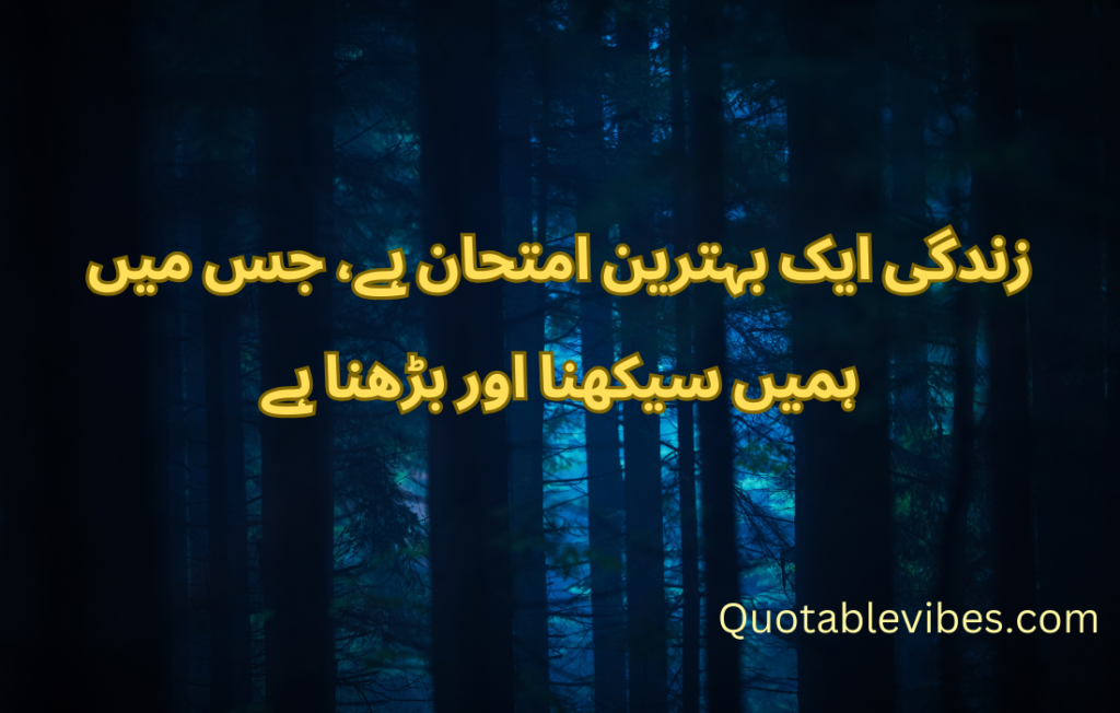 20 Best Urdu Quotes About Life