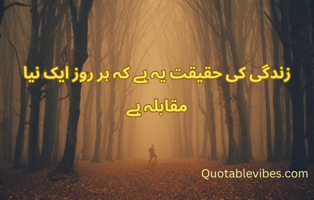 20 Best Urdu Quotes About Life