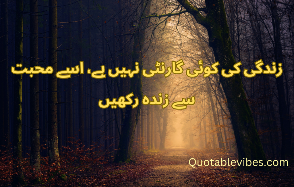 20 Best Urdu Quotes About Life