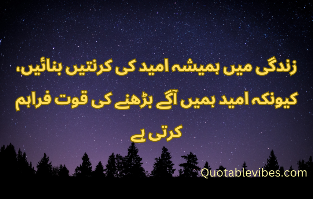 20 Best Urdu Quotes About Life