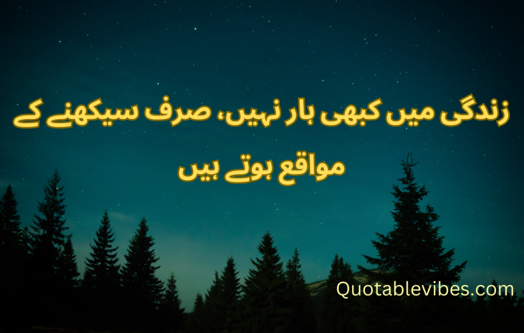 20 Best Urdu Quotes About Life