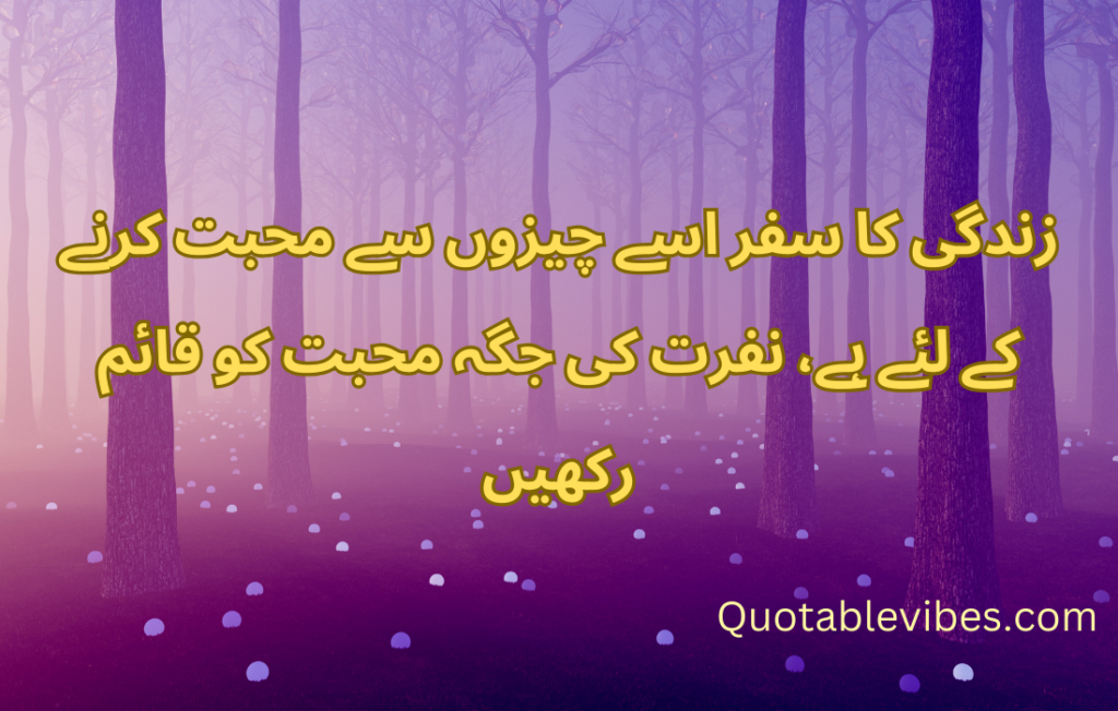 20 Best Urdu Quotes About Life