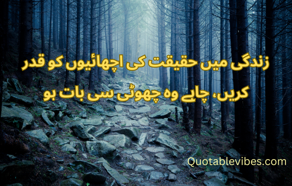 20 Best Urdu Quotes About Life