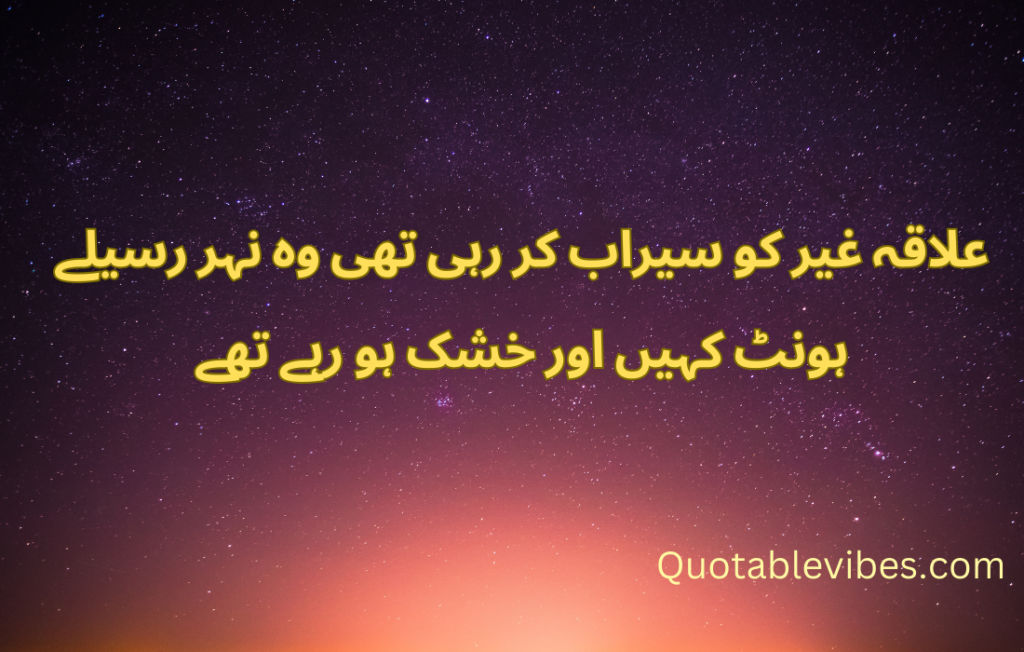 20 Best Urdu Quotes About Life 